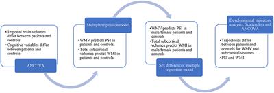Effects of regional brain volumes on cognition in sickle cell anemia: A developmental perspective